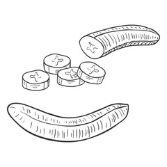 Vector Set of Sketch Peeled Banana. Whole and Sliced