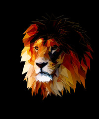 lion head graphic portrait with polygonal effect on abstract background.