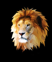 lion head graphic portrait with polygonal effect on abstract background.