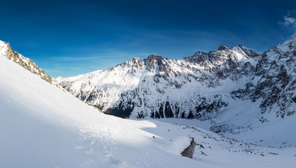 Fototapeta na wymiar Tatra Mountains in winter