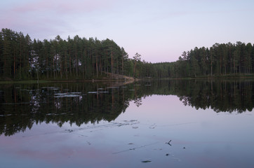 Calm lake in nature reserve in sweden