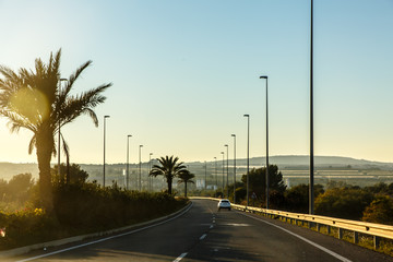 Highway with palm trees in Sunny weather