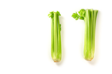 Layout with two fresh celery stalks isolted on white background. Top view