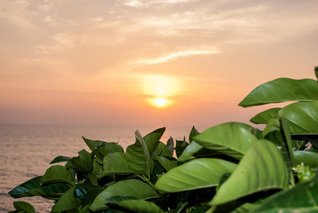 Beautiful sunrise over the Indian Ocean