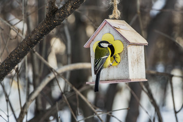 A small yellow tit sits on a yellow bird and squirrel feeder house from plywood in the park