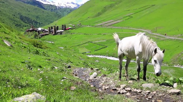White horse and Sky with clouds and mountains. Svan towers in Ushguli, highest inhabited village in Europe. Caucasus, Upper Svaneti Georgia.