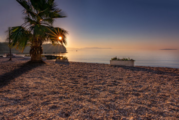 Sonnenaufgang am Strand mit Palme