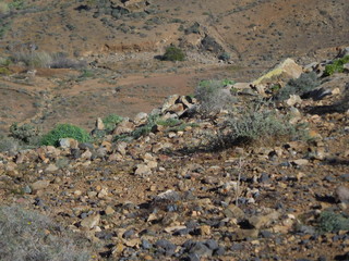 Fuertaventrua, widok, wyspa, ziemia © Micha