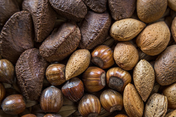 Assorted nut selection of whole organic shelled walnuts, almonds, hazelnuts and brazil nuts