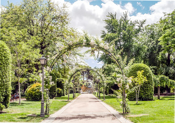 Leopard in the garden