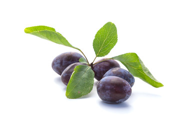 Prunes