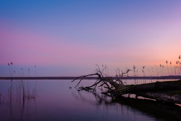 Fototapeta premium Cold morning in February at the Berlin Müggel Lake!