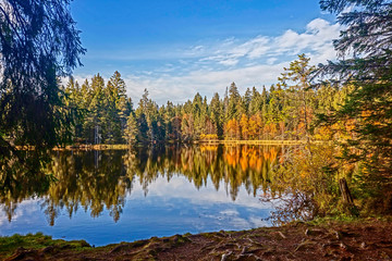 Nice view of autumn lake	