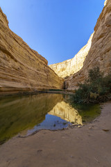 Fototapeta na wymiar Canyon of Ein Avdat National Park, the Negev Desert