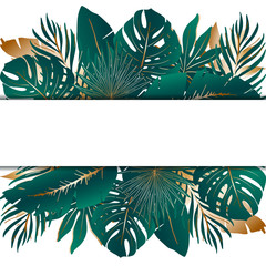 Tropical plant card. Horizontal frame of green and golden palm leaves, leaves of monstera and banana with copy space . Summer template for advertising, spa, design, party, poster, print, web. Vector.