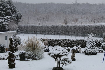 Snow