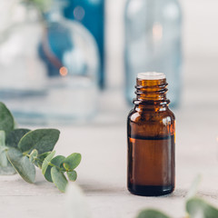 Eucalyptus essential oil and fresh leaves on the stone board.