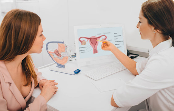 gynecologist communicates with her patient, pointing to the structure of the uterus, on her comput er.