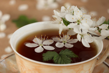 Obraz na płótnie Canvas Spring, delicious, delicate tea with cherry flowers and raspberry leaves in a light brown cup close-up