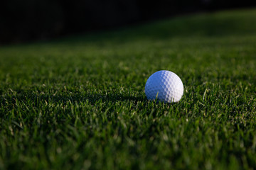 Bola sobre la hierba