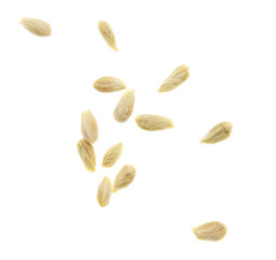 Seeds in tangerines on a white background