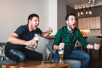 Two guys drinking beer watching sports on TV