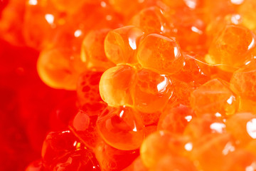 Red caviar as an abstract background