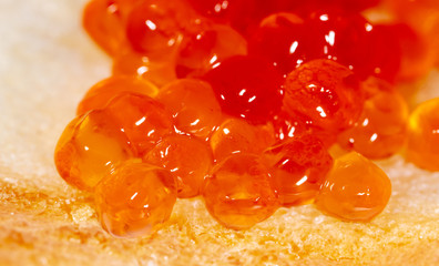 Red caviar on bread as a background