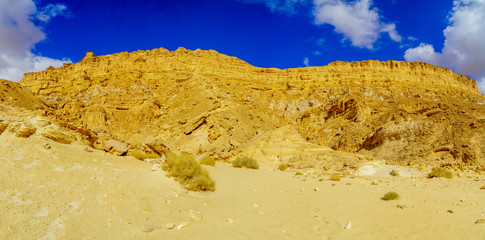 Cliffs of mount Ardon, part of Makhtesh (crater) Ramon