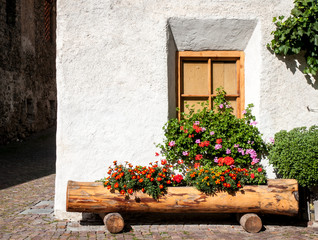 Fototapeta na wymiar window with flowers in a trunk used as a pot