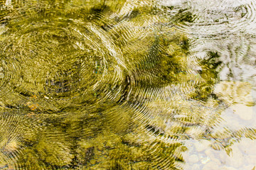 Circles on the surface of the reservoir as a background