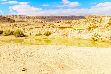 Water pond and landscape in Makhtesh (crater) Ramon