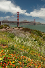 526-13 Golden Gate Bridge & Wildflowers