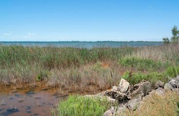 Camargue in France