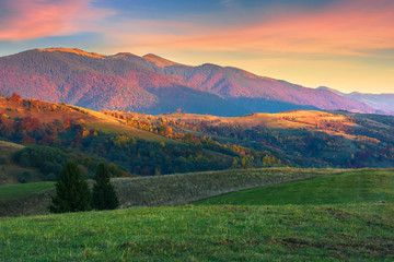 Fototapeta premium beautiful autumn scenery in mountains at sunset. red clouds on the sky, blue shade in the mountains, grassy green meadow. wonderful carpathian countryside