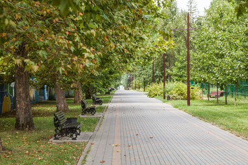 alley in the park