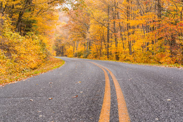 Autum along the Blue Ridge Parkway