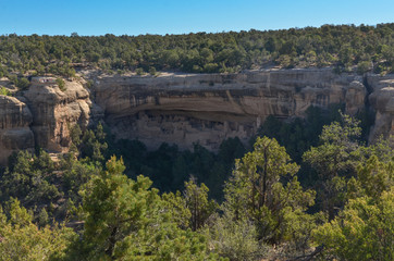 Cliff Palace in Cliff Canyon on Chapin Mesa (Mesa Verde National Park, Colorado, USA)