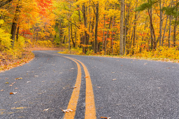 Autumn along the Blue Ridge Parkway, Virginia