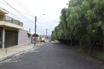 	 Rua de asfalto com calçada arborizada