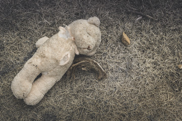 Old dirty bear doll abandoned on the grass., Lonely and sad concept. with copy space for text.