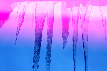 Beautiful big icicles hanging on the building