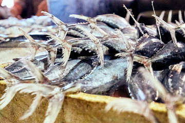 Fresh mackerel fish on the counter market