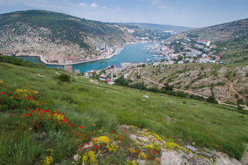 top view of the curved sea Bay and the city among the hills dotted with flowering poppies in Crimea