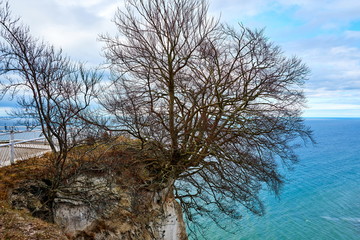 descent of the famous sight of rugia königsstuhl