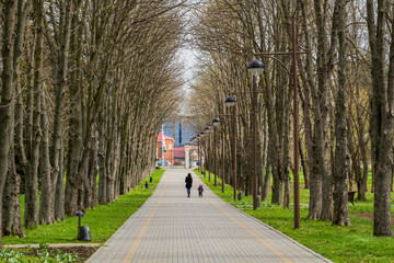 woman walking in park