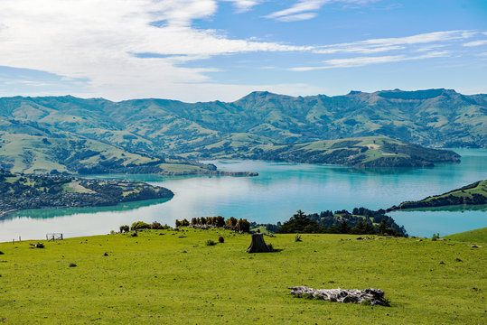 Overlook of the scenic Akaroa Harbour on the Banks Peninsula, Canterbury, South Island, New Zealand