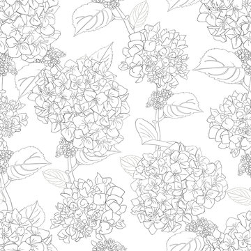 Seamless pattern with hydrangea flowers and leaves. Black and white