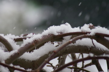 Garten, Garten deko,natur,sonne,sommer,frühling,dekoration,haus,