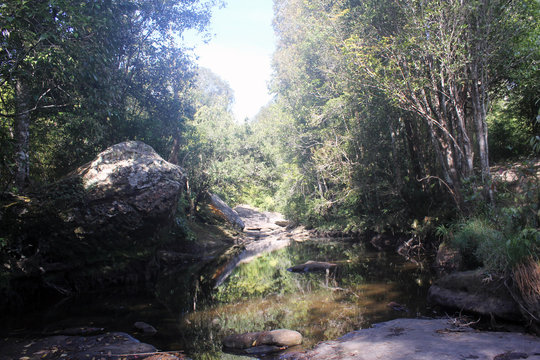 waterfall in the forest